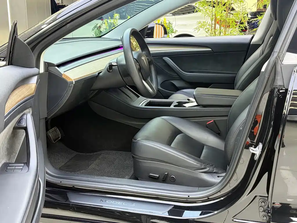 Tesla Model 3 — миниатюра 4