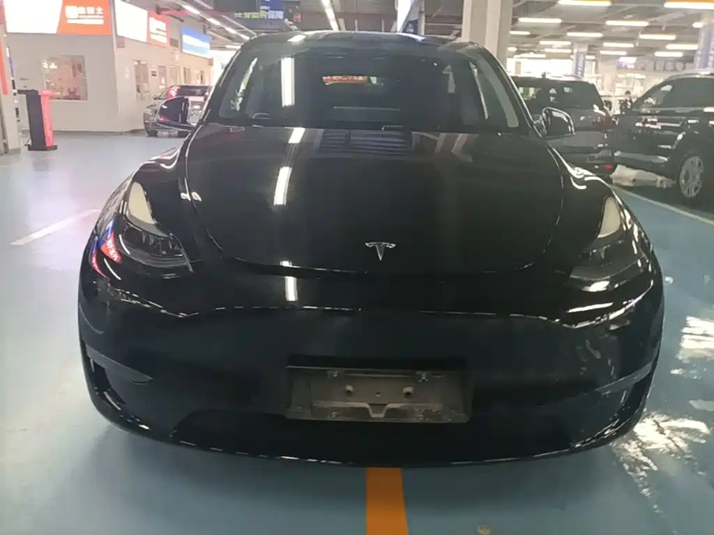 Tesla Model Y — миниатюра 3
