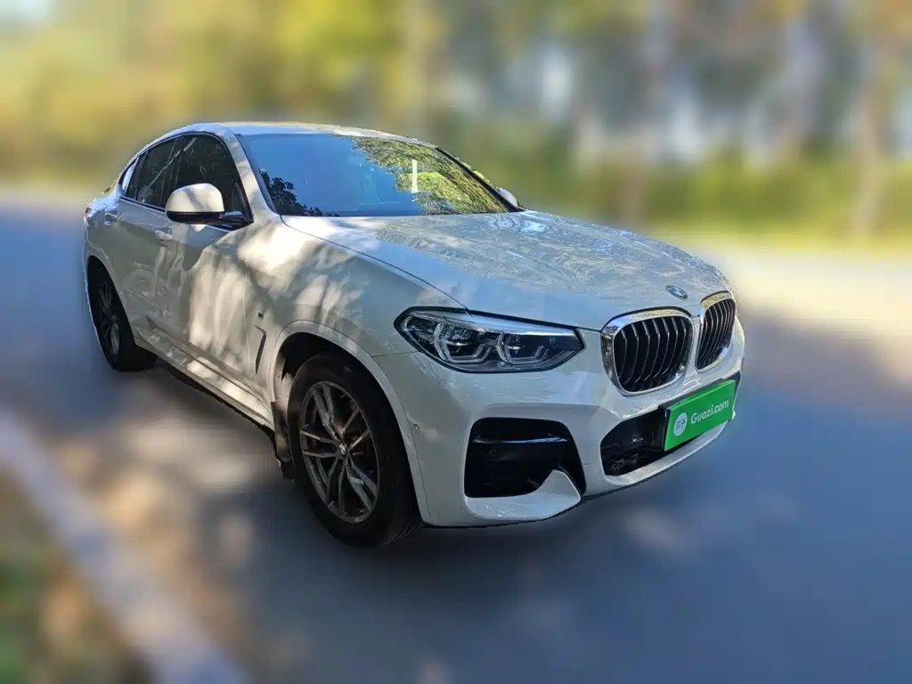 BMW X4 — миниатюра 3