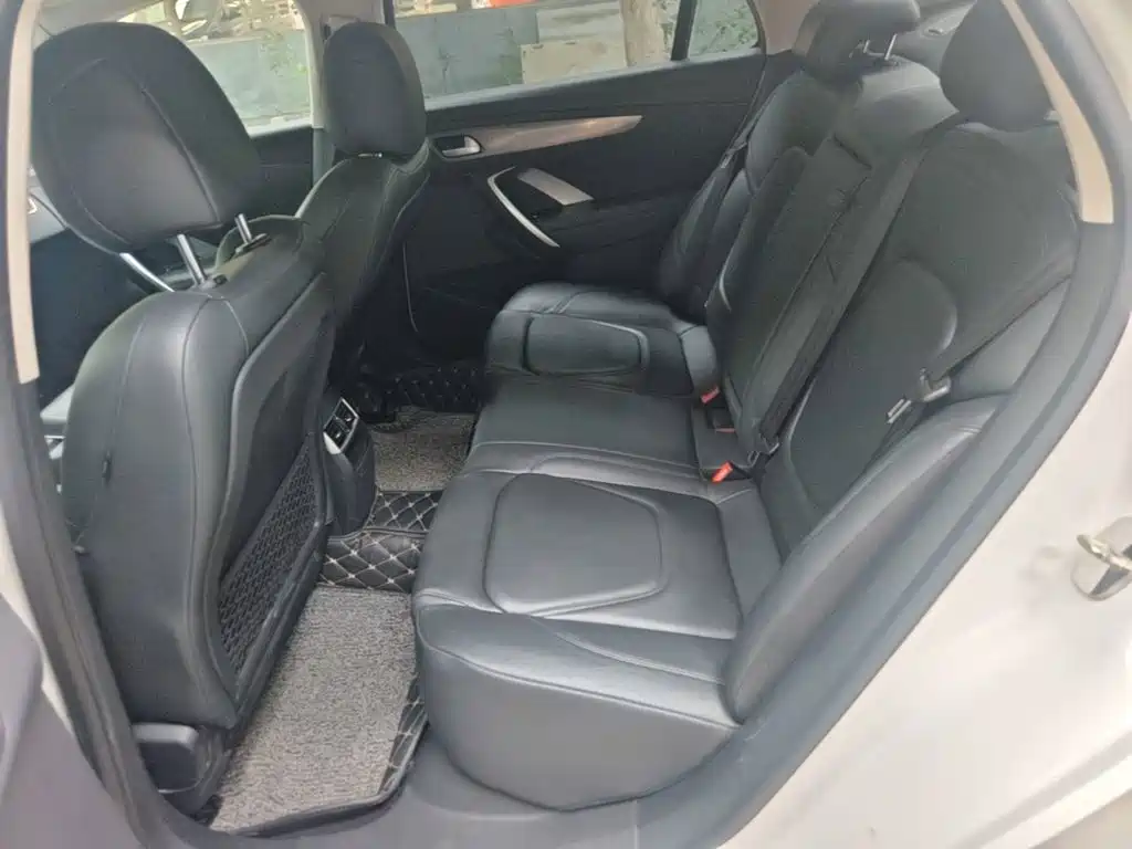DS DS 5LS — миниатюра 17