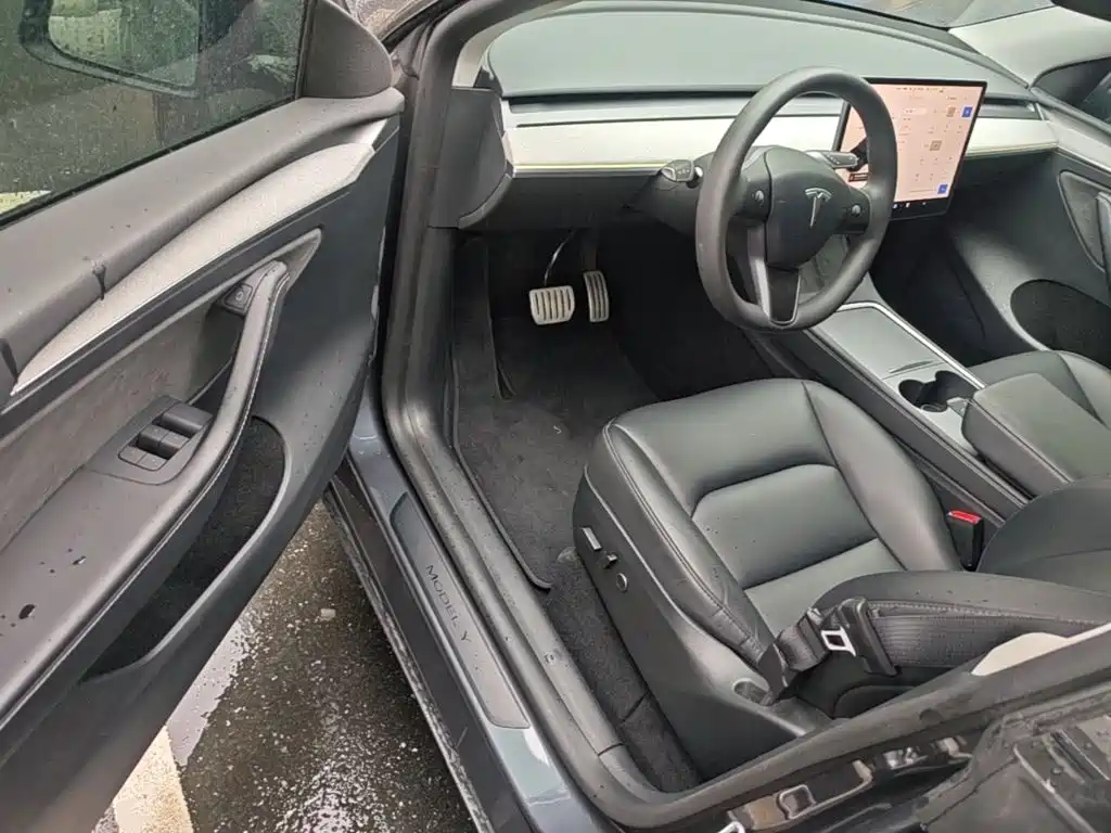 Tesla Model Y — миниатюра 16