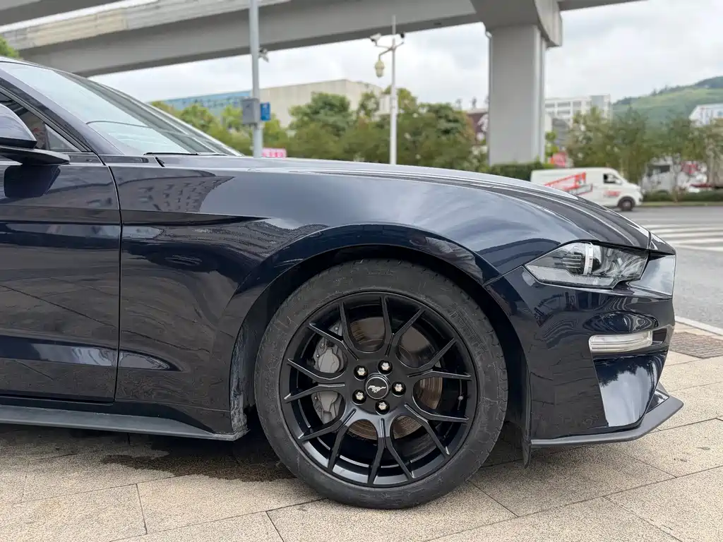 Ford Mustang — миниатюра 8