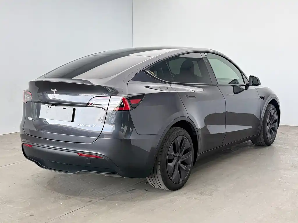 Tesla Model Y — миниатюра 4
