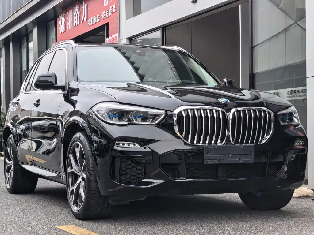 BMW X5 (Import) — миниатюра 3