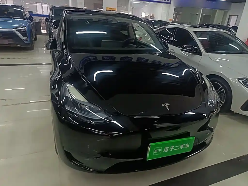 Tesla Model Y — миниатюра 3