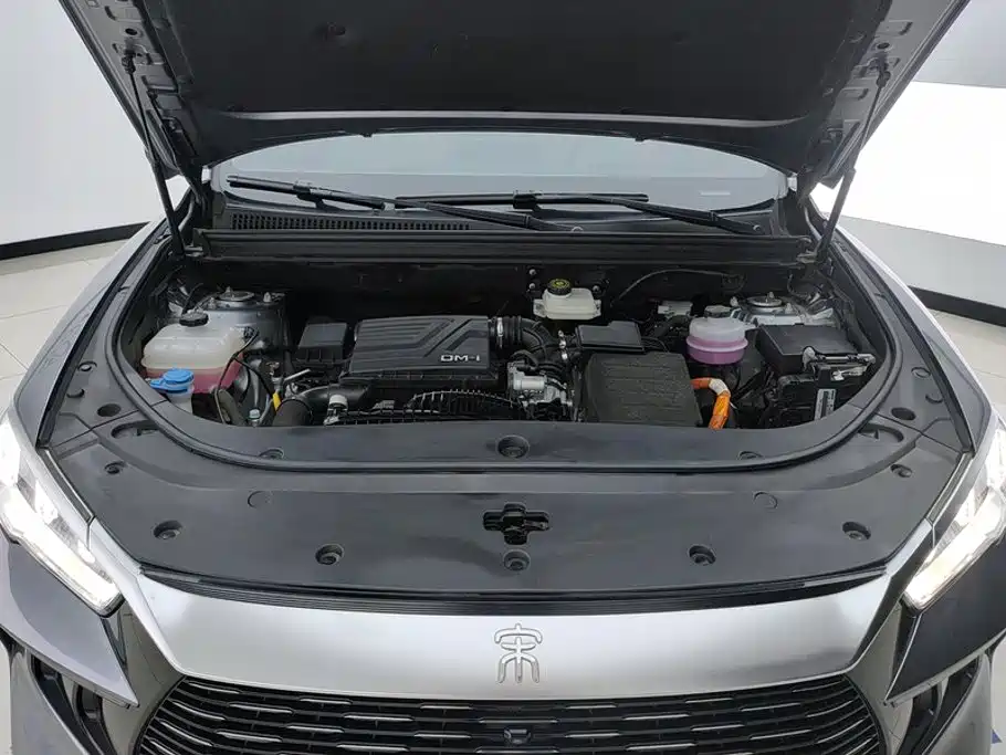 BYD Pro New Energy — миниатюра 10