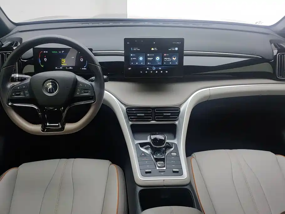 BYD Pro New Energy — миниатюра 12