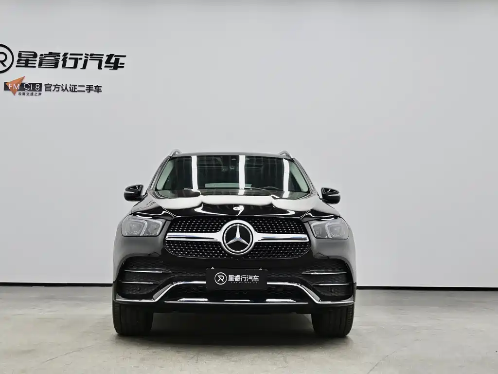 Mercedes-Benz GLE New Energy — миниатюра 2