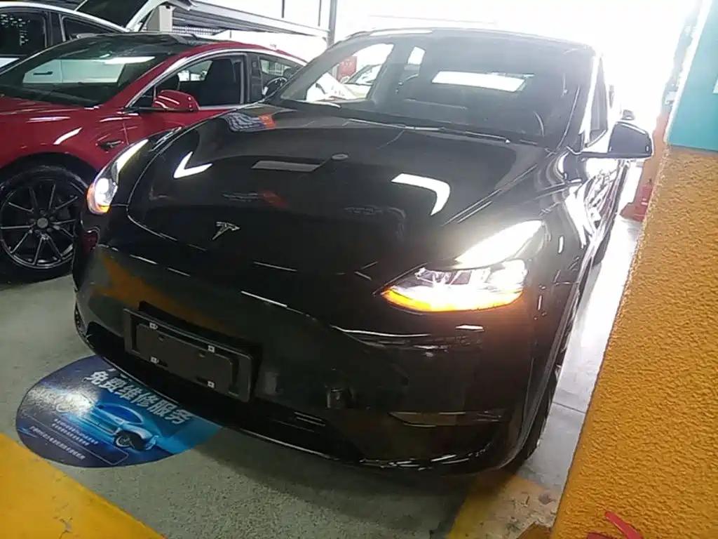 Tesla Model Y — миниатюра 2