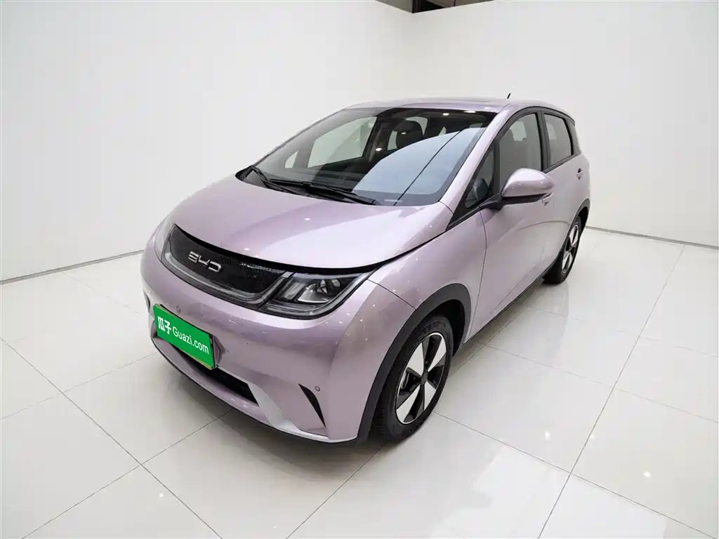 Byd Dolphin 2024