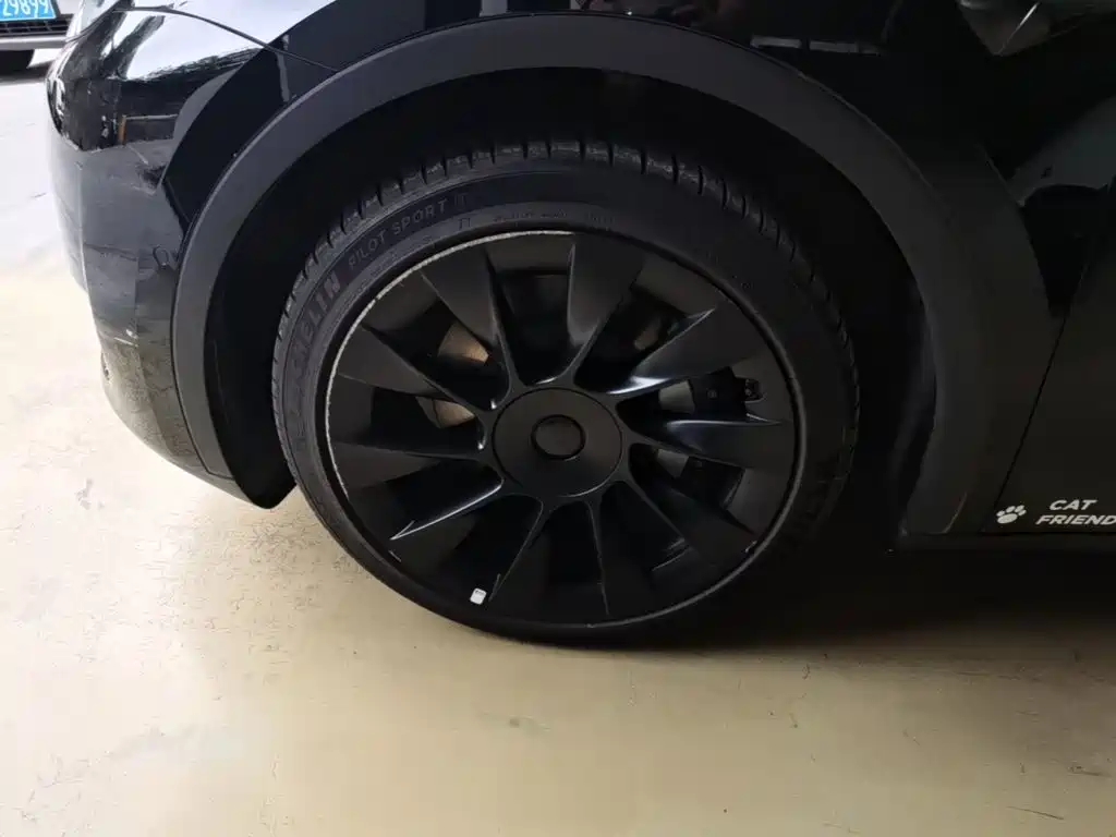Tesla Model Y — миниатюра 23