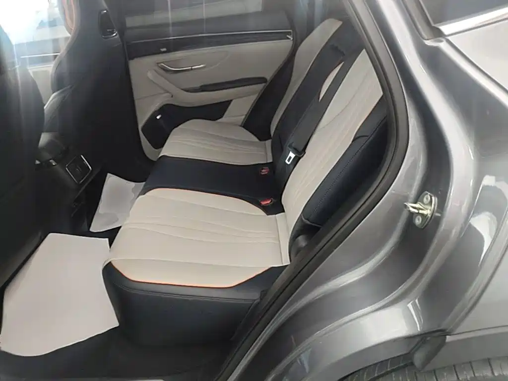 BYD PLUS New Energy — миниатюра 17