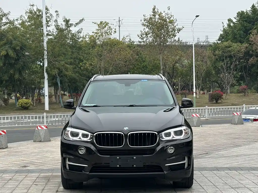 BMW X5 2014 xDrive35i Lead