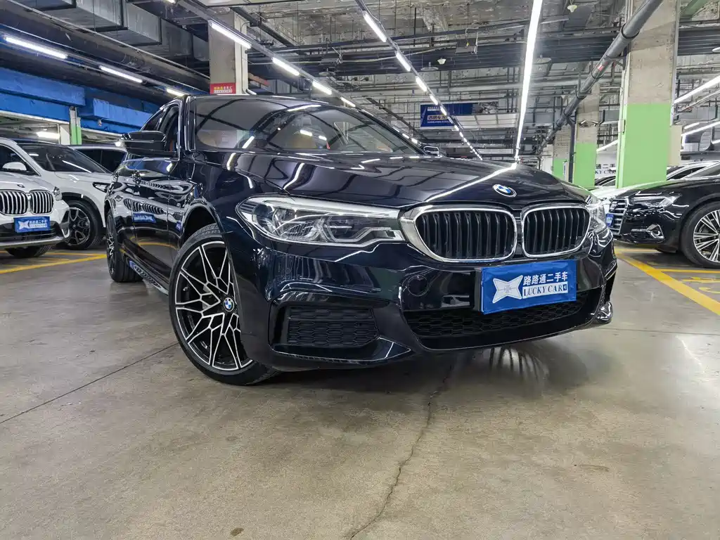 BMW 5 Series — миниатюра 3