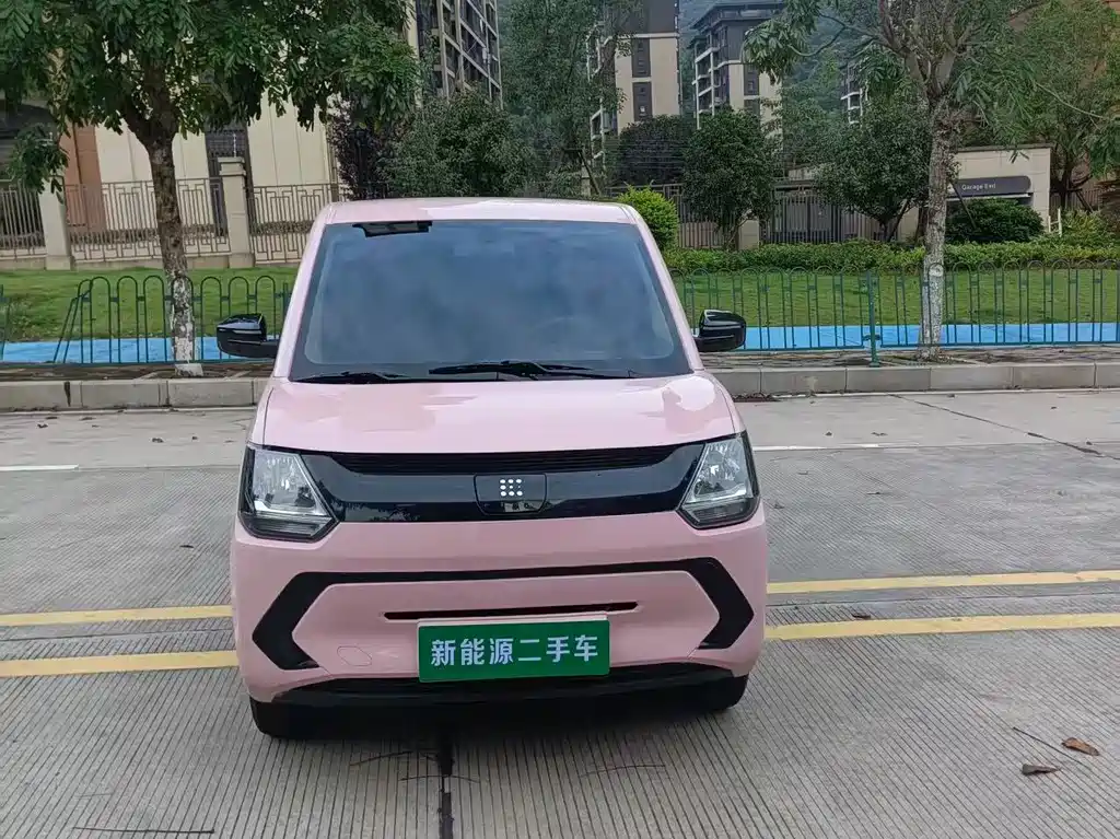 Fengguang Fengguang MINIEV — миниатюра 2