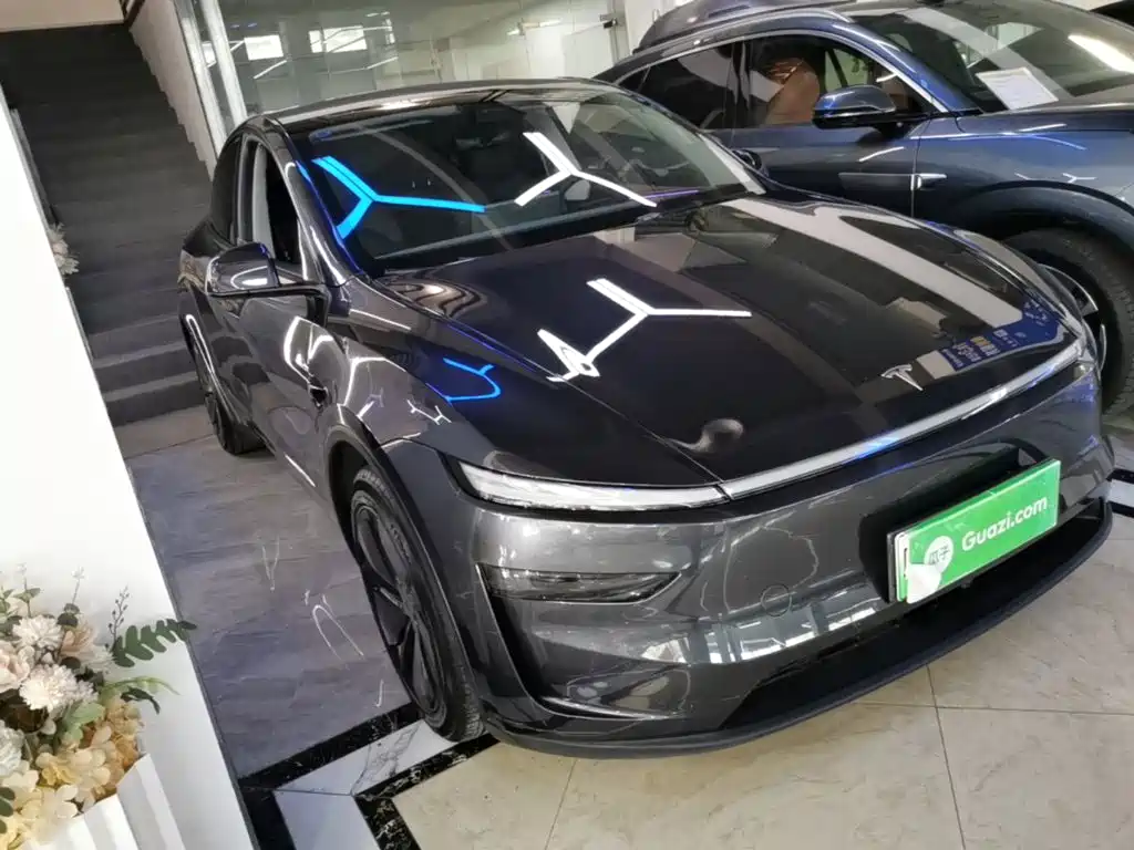 Tesla Model Y — миниатюра 4
