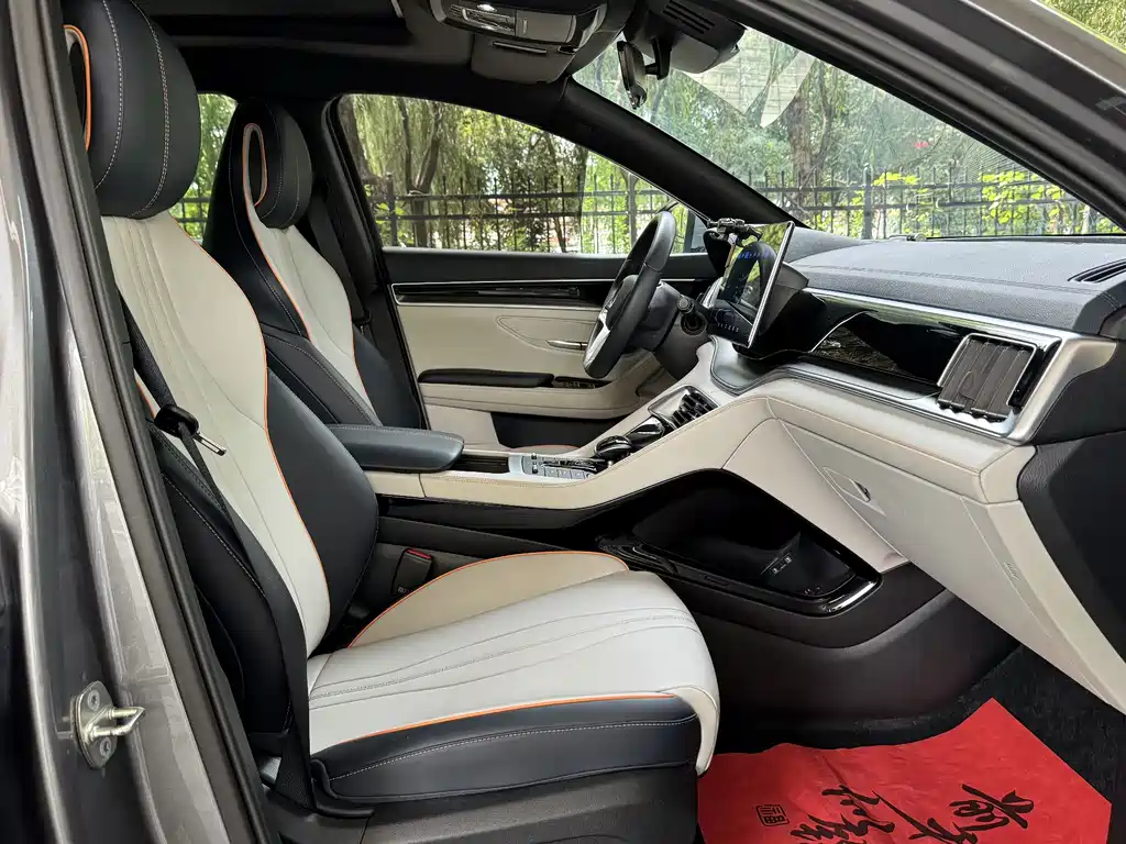 BYD PLUS New Energy — миниатюра 10