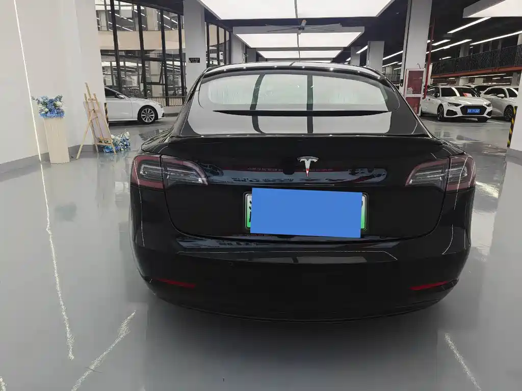 Tesla Model 3 — миниатюра 14