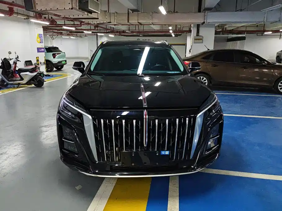 Hongqi Hongqi HS3 PHEV — миниатюра 2