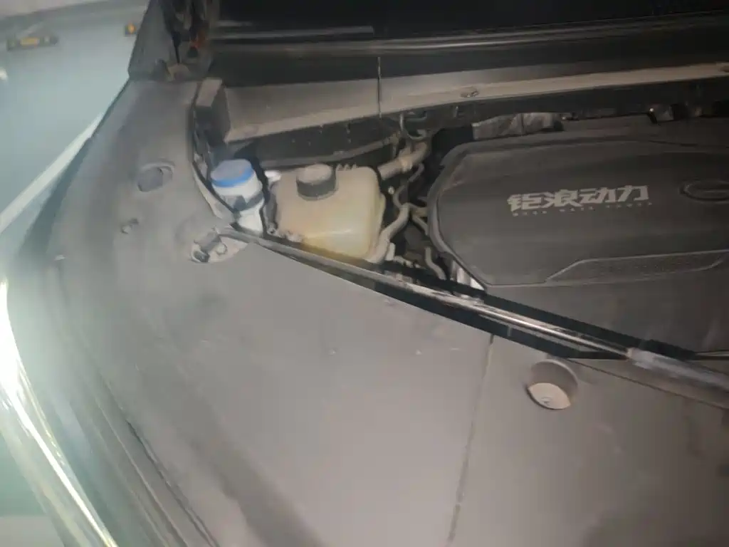 GAC Motor Trumpchi M8 — миниатюра 20