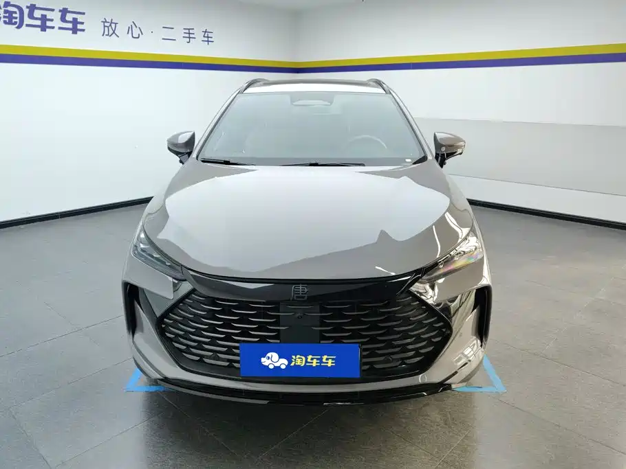 BYD Tang New Energy — миниатюра 2