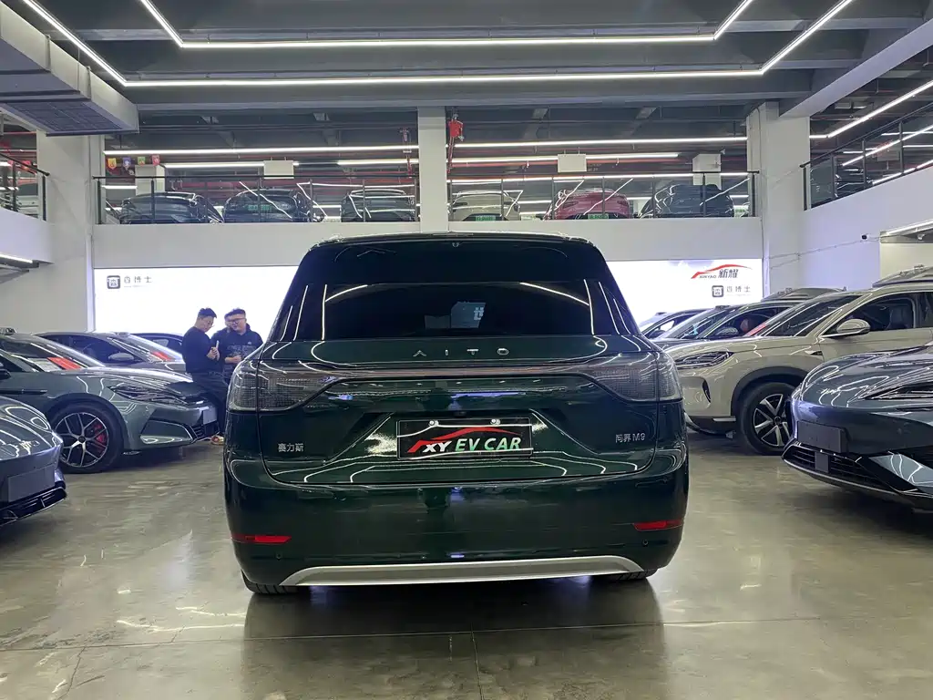 HONGMENG ZHIXING ASK THE WORLD M9