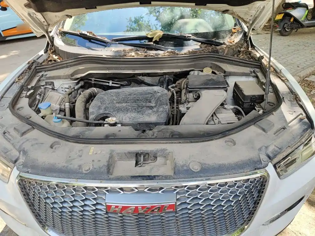 Haval H2s — миниатюра 21