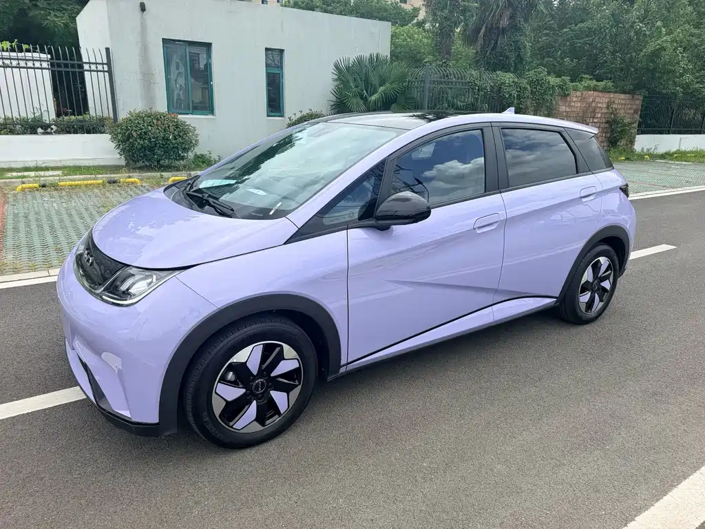 BYD Dolphin — миниатюра 2