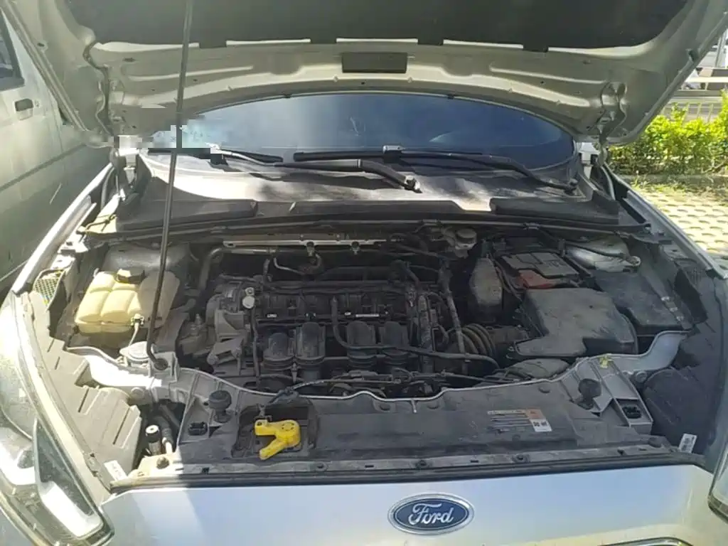 Ford Escort — миниатюра 25