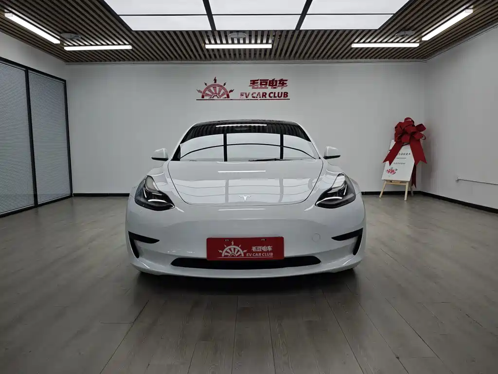 Tesla Model 3 — миниатюра 2