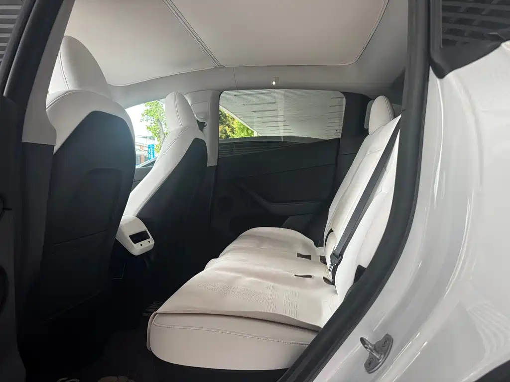 Tesla Model Y — миниатюра 8