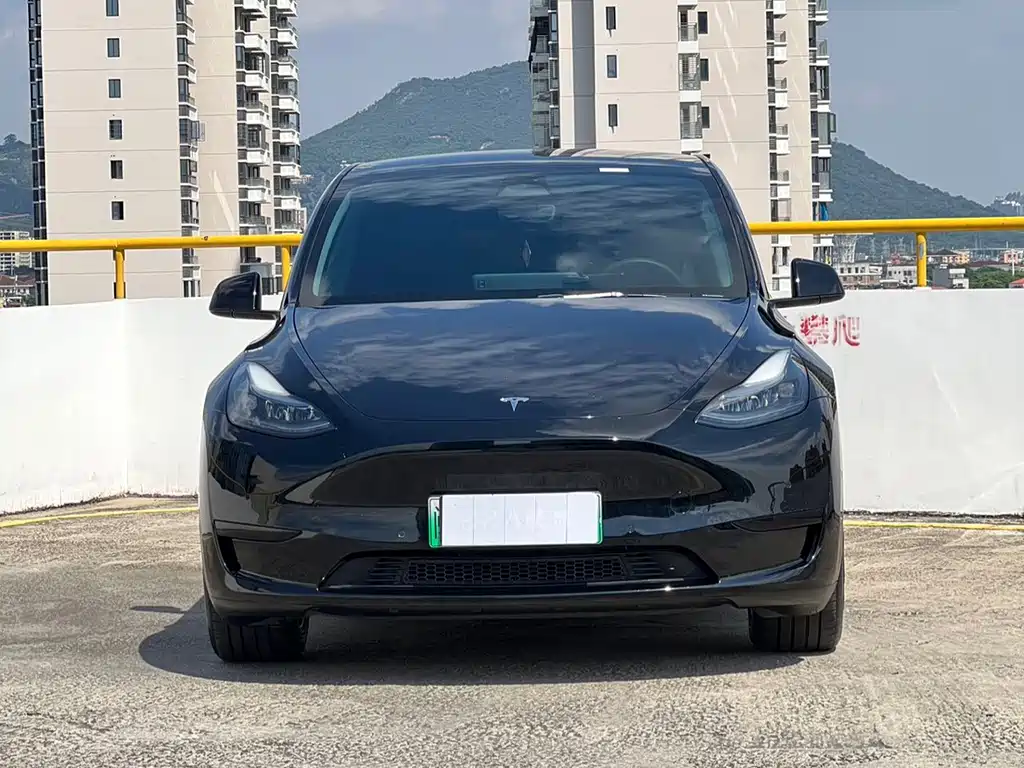 Tesla Model Y — миниатюра 2