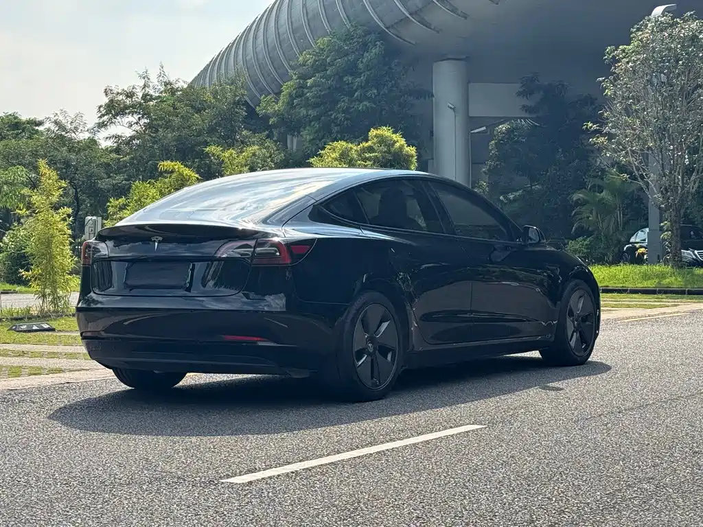 Tesla Model 3 — миниатюра 6