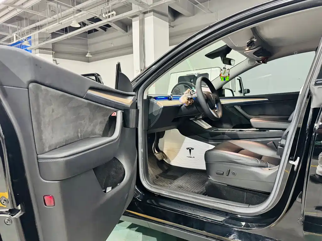 Tesla Model Y — миниатюра 7