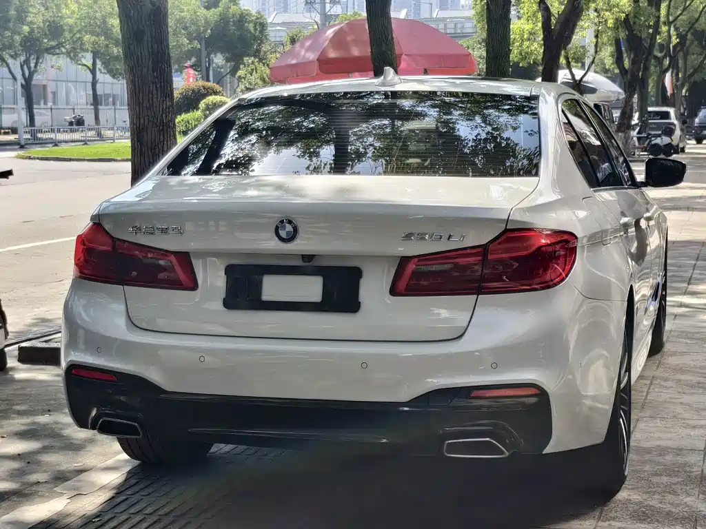 BMW 5 Series — миниатюра 3