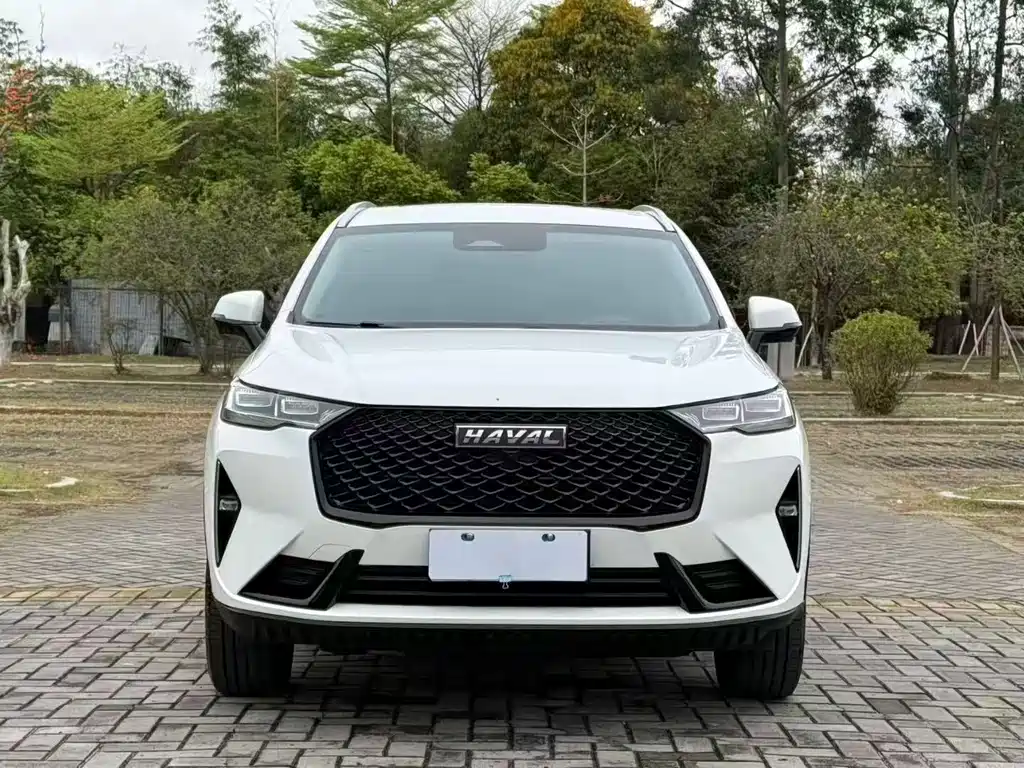 Haval H6 — миниатюра 2