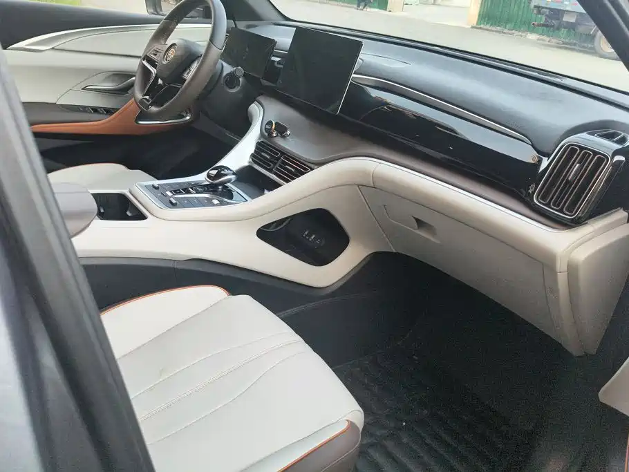 BYD Pro New Energy — миниатюра 8