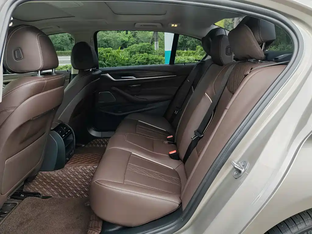BMW 5 Series 5 2022 530Li Lead Luxury