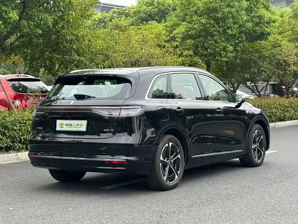 Shangjie Shangjie H5 — миниатюра 3