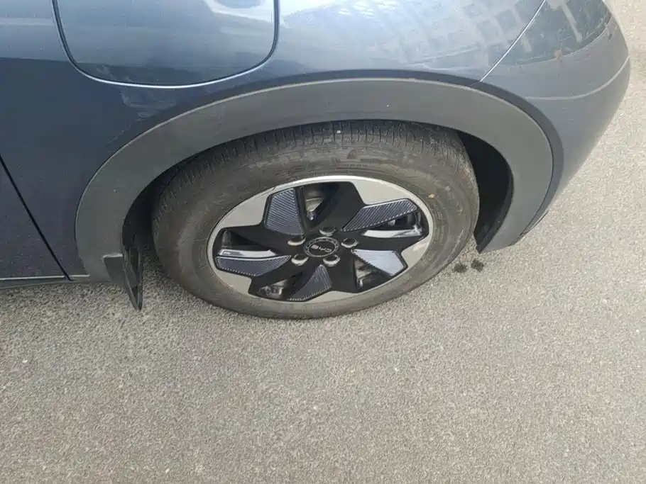 BYD Dolphin — миниатюра 6