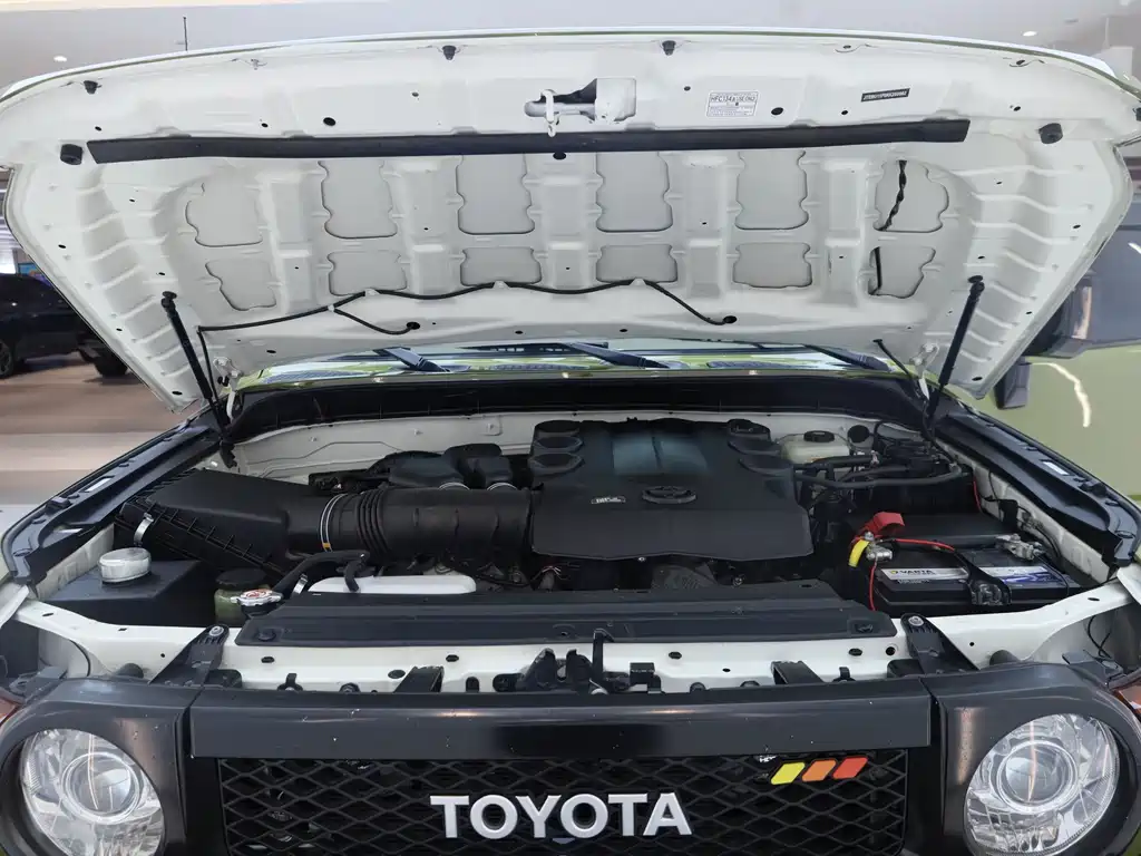Toyota FJ Cruiser — миниатюра 26
