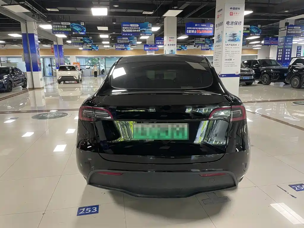 Tesla Model Y — миниатюра 4