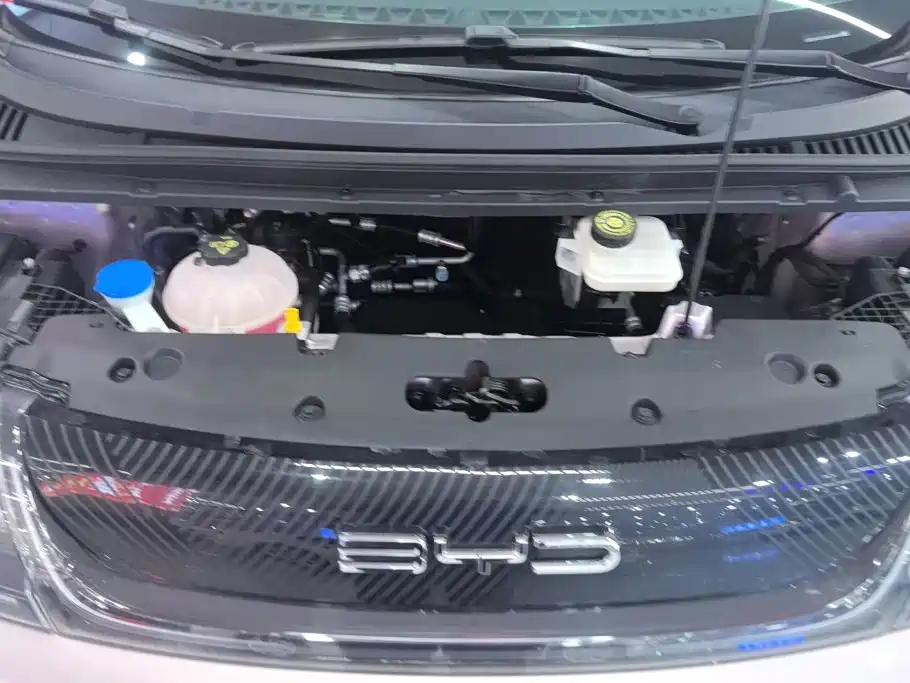 BYD Dolphin — миниатюра 10