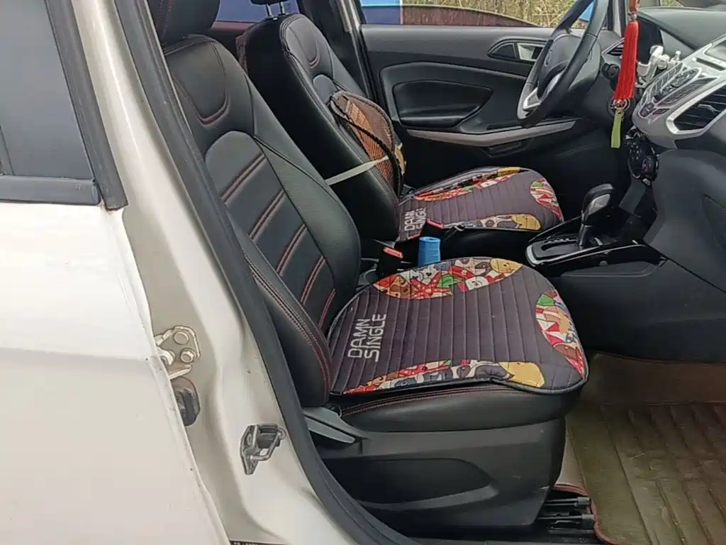 Ford Ecosport — миниатюра 25