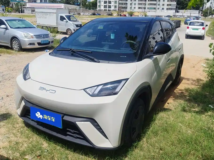 BYD Seagull