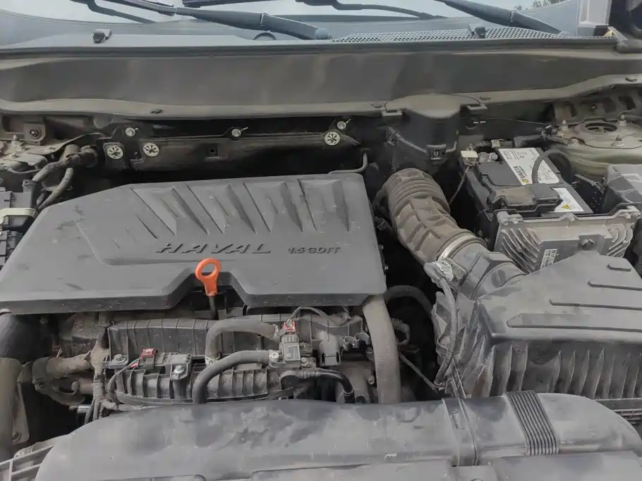 Haval Big Dog — миниатюра 10