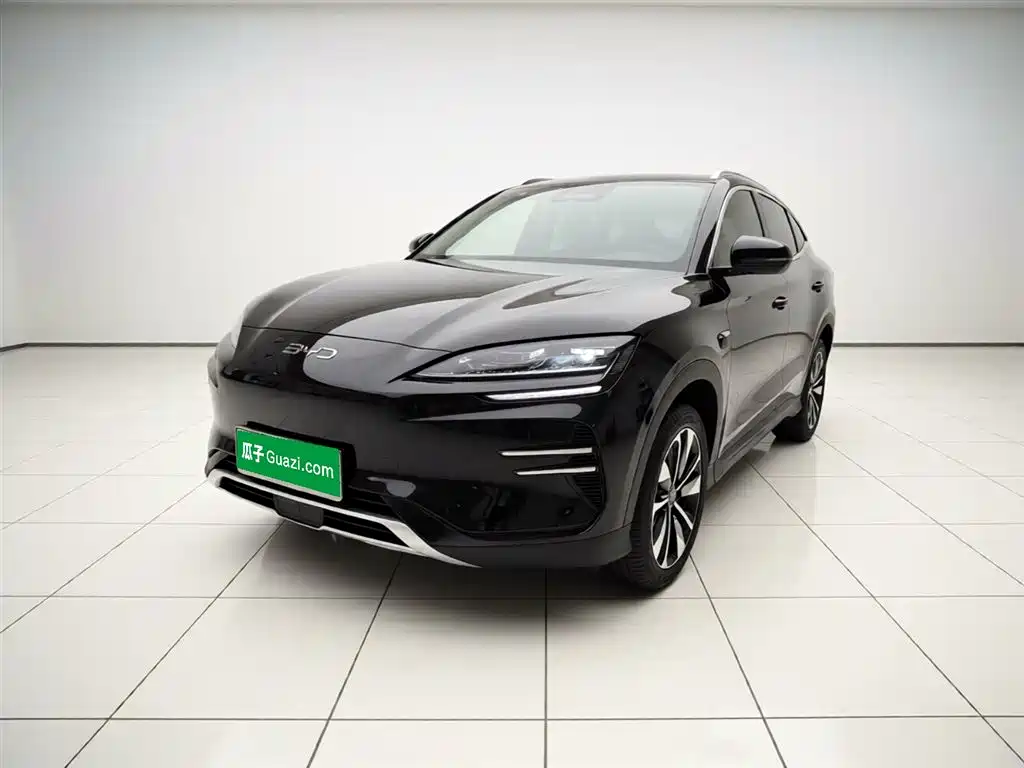 Byd PLUS New Energy 2025