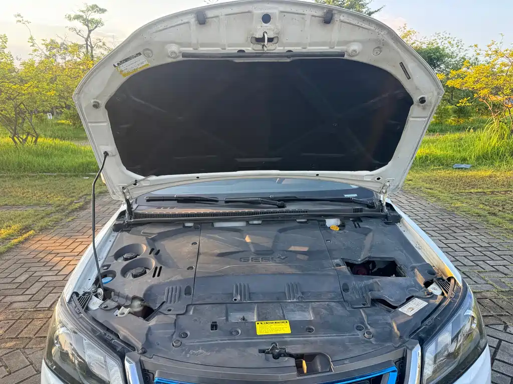 Geely New Energy — миниатюра 13