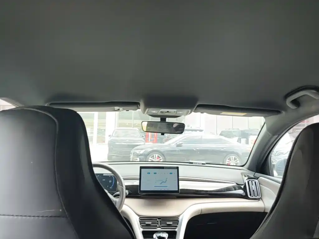 BYD Pro New Energy — миниатюра 23