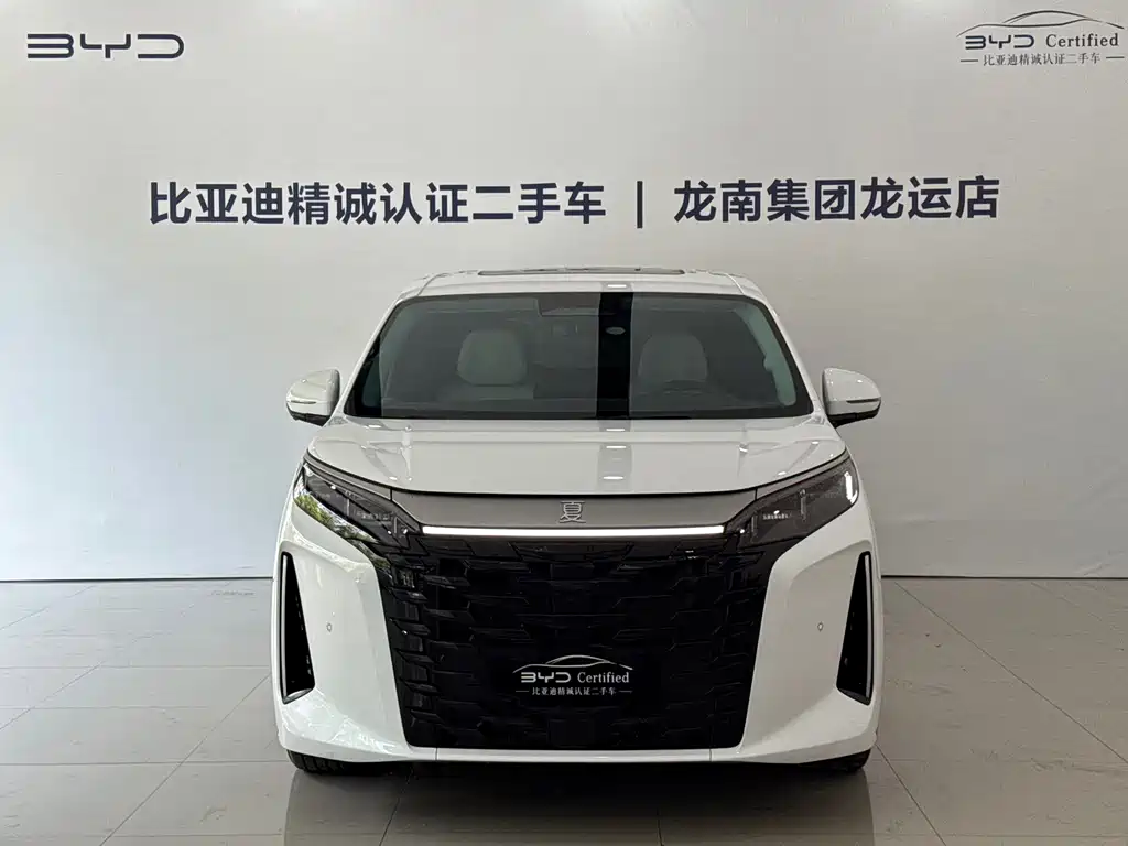 BYD Xia — миниатюра 2
